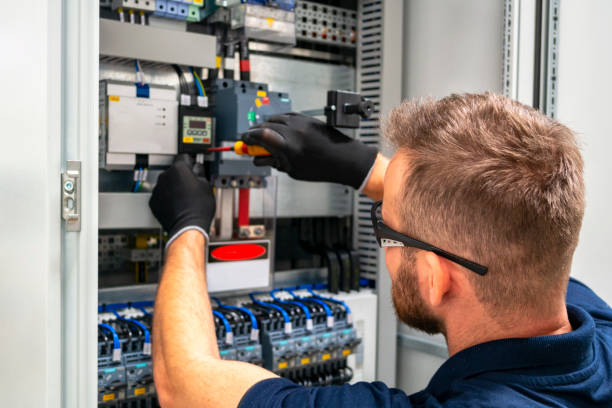 Best Electrical Upgrades for Homes  in Danvle, IL